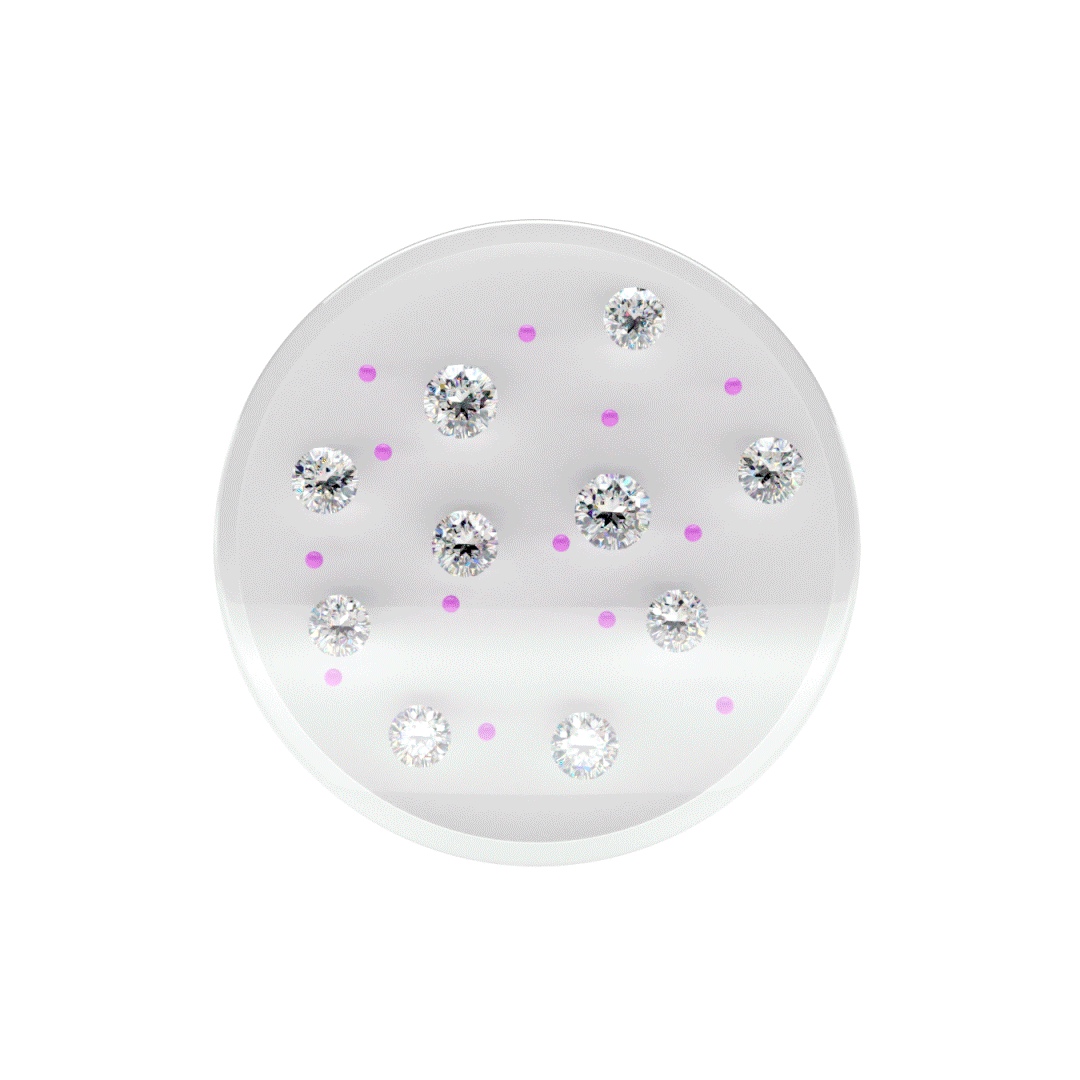 bitcarbon coin